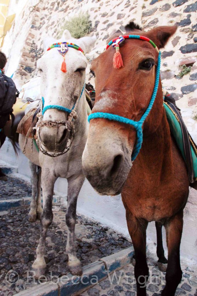 Santorini (9)copyright